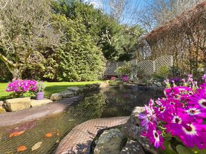 Photo 43- click for photo gallery